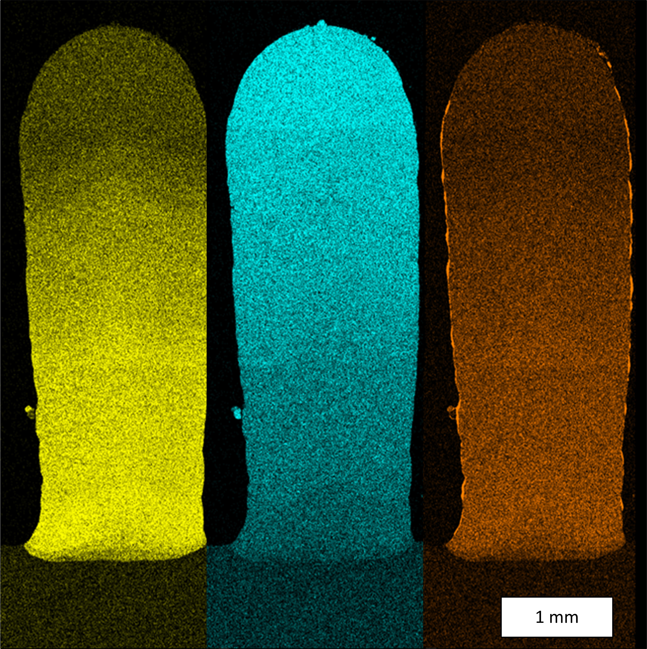 EDX-Mapping: Die chemische Analyse einer Testgeometrie weist den Materialübergang nach. Die Farben veranschaulichen den stetigen Übergang von der Kobaltbasislegierung Merl 72 zur Nickel-Basis-Superlegierung IN 718 (gelb: Kobalt, blau: Nickel, orange: Aluminium).