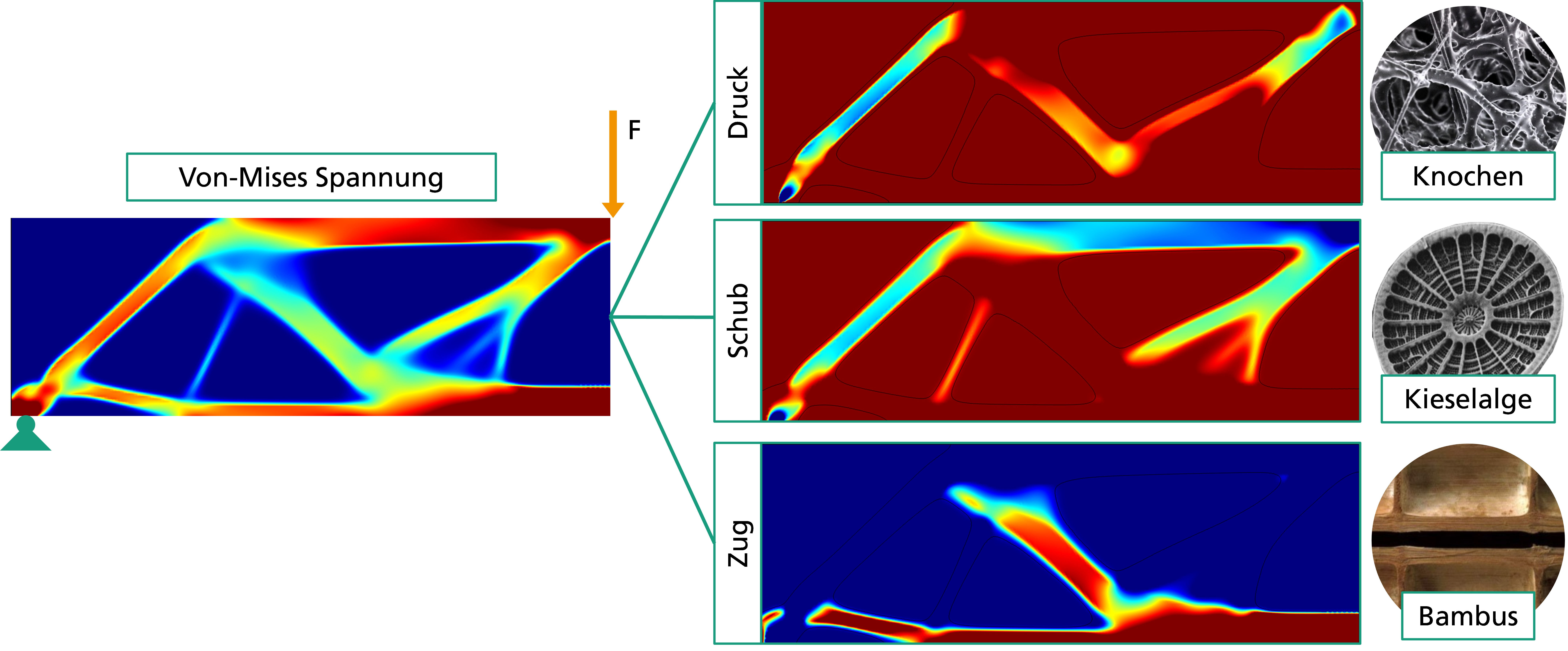 Substitution durch Bionische Elemente mit Hilfe von Topologieoptimierung.